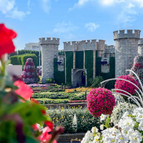 Photo de Miracle Garden + Ski Dubai - Combo dans Dubai : Galerie Photo zw62jb