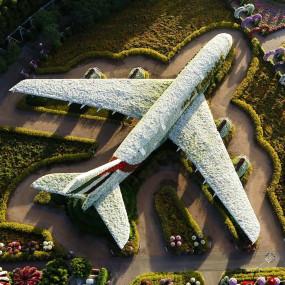 Photo de Miracle Garden + Ski Dubai - Combo dans Dubai : Galerie Photo zm07v5