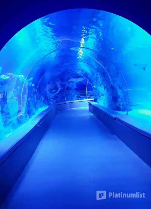 Istanbul Emaar Aquarium in Istanbul: Gallery Photo n0v9op Istanbul Emaar Aquarium in Istanbul: Gallery Photo n0v9op