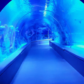 Istanbul Emaar Aquarium in Istanbul: Gallery Photo n0v9op Istanbul Emaar Aquarium in Istanbul: Gallery Photo n0v9op