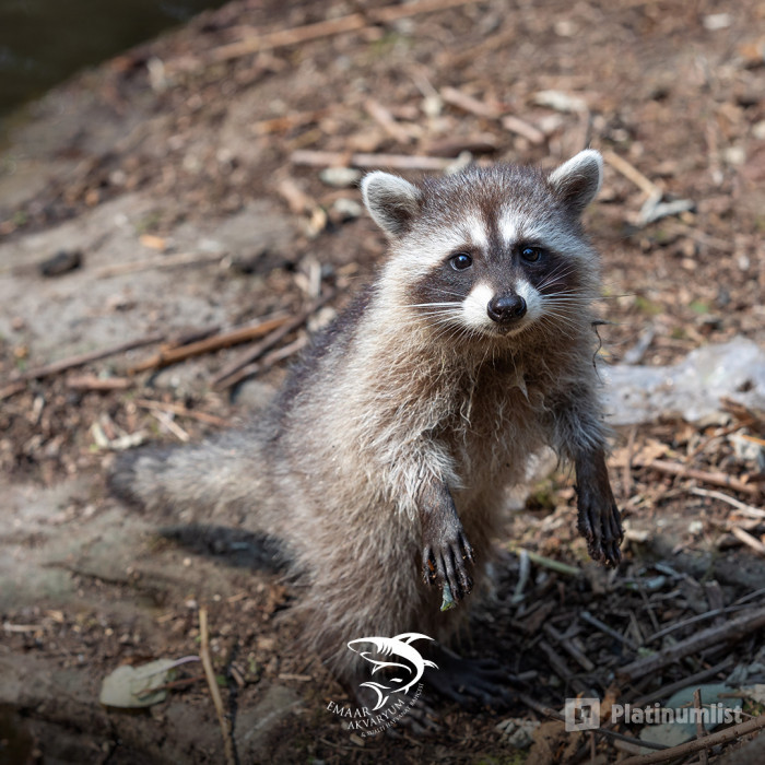 zg47w4 استديو الصور :إسطنبول في إعمار إكواريوم إسطنبول zg47w4 استديو الصور :إسطنبول في إعمار إكواريوم إسطنبول