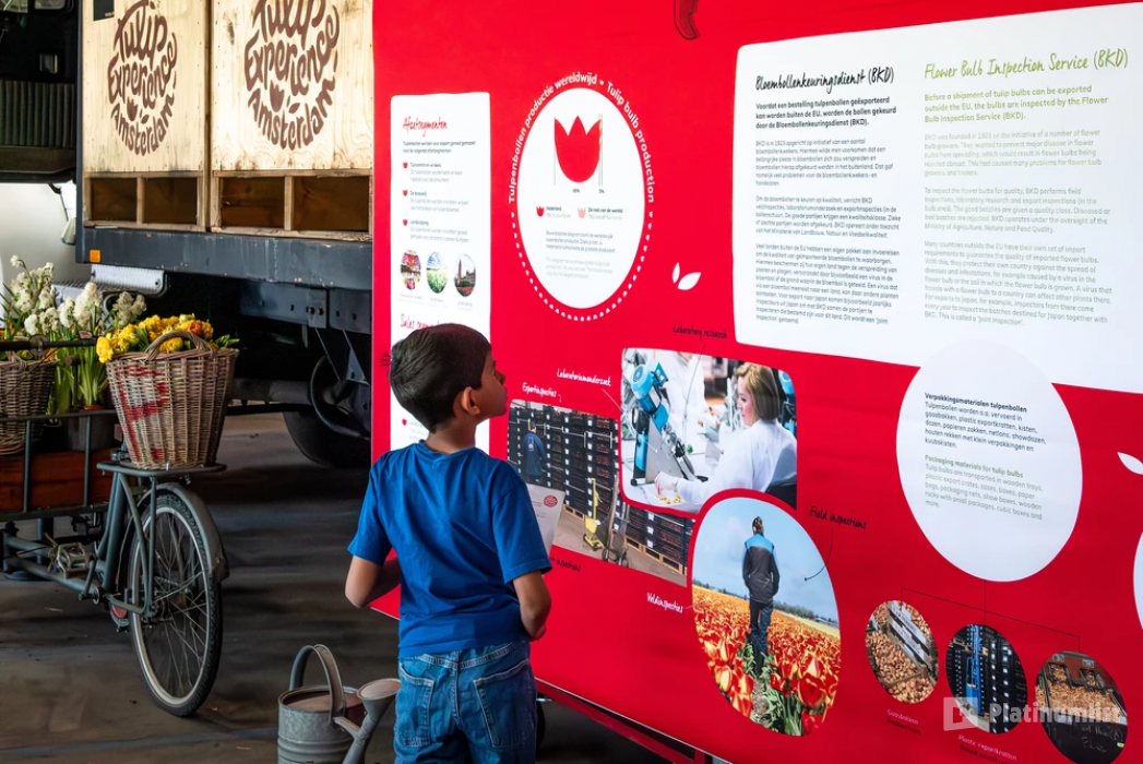 Tulip Experience Amsterdam: Entry Ticket in Amsterdam: Gallery Photo z7xgjw Tulip Experience Amsterdam: Entry Ticket in Amsterdam: Gallery Photo z7xgjw