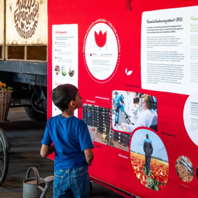 Tulip Experience Amsterdam: Entry Ticket in Amsterdam: Gallery Photo z7xgjw