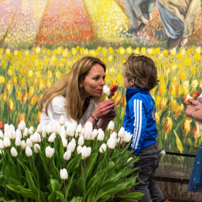 Photo from Tulip Experience Amsterdam: Entry Ticket in Amsterdam: Gallery Photo z94jq7