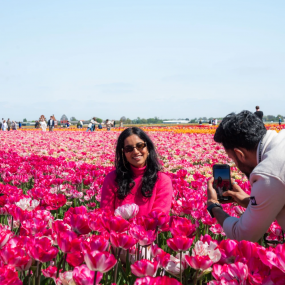 Photo from Tulip Experience Amsterdam: Entry Ticket in Amsterdam: Gallery Photo zod774