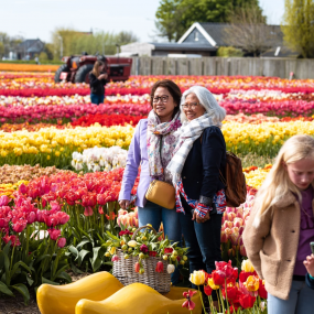 Photo from Tulip Experience Amsterdam: Entry Ticket in Amsterdam: Gallery Photo 3xv22k