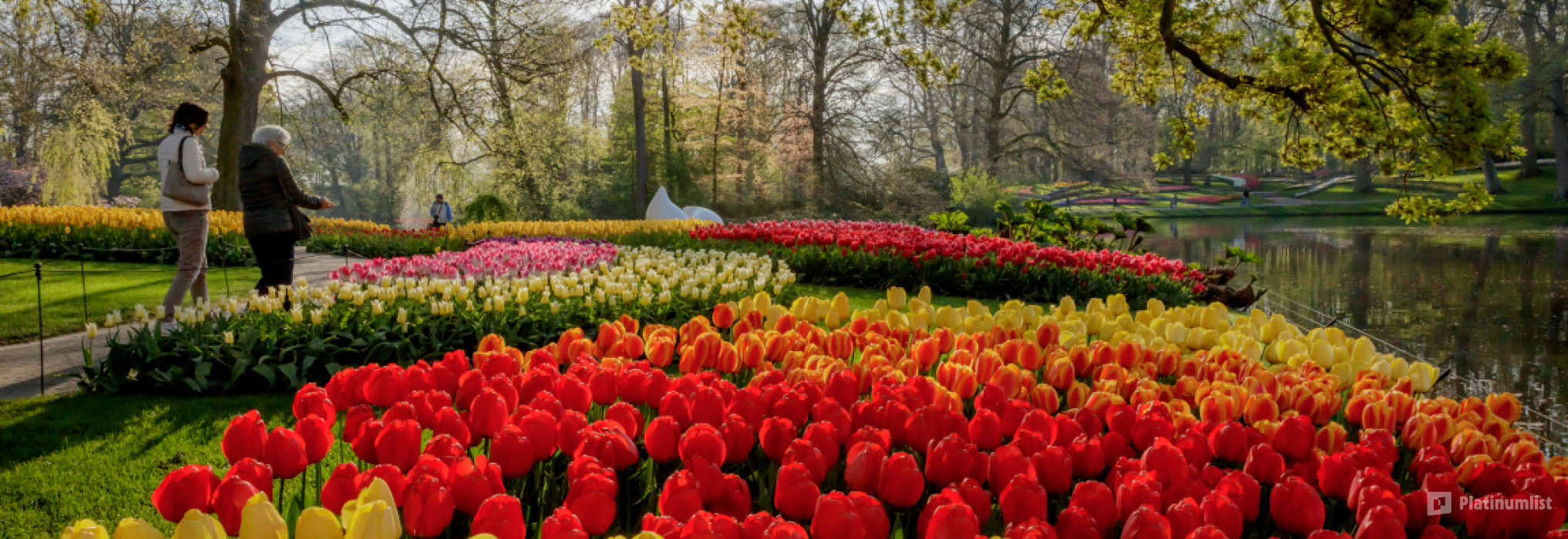 Keukenhof: Entry + Return Bus Transfer from Amsterdam Central Station в Амстердам: Галерея фото nke77q
