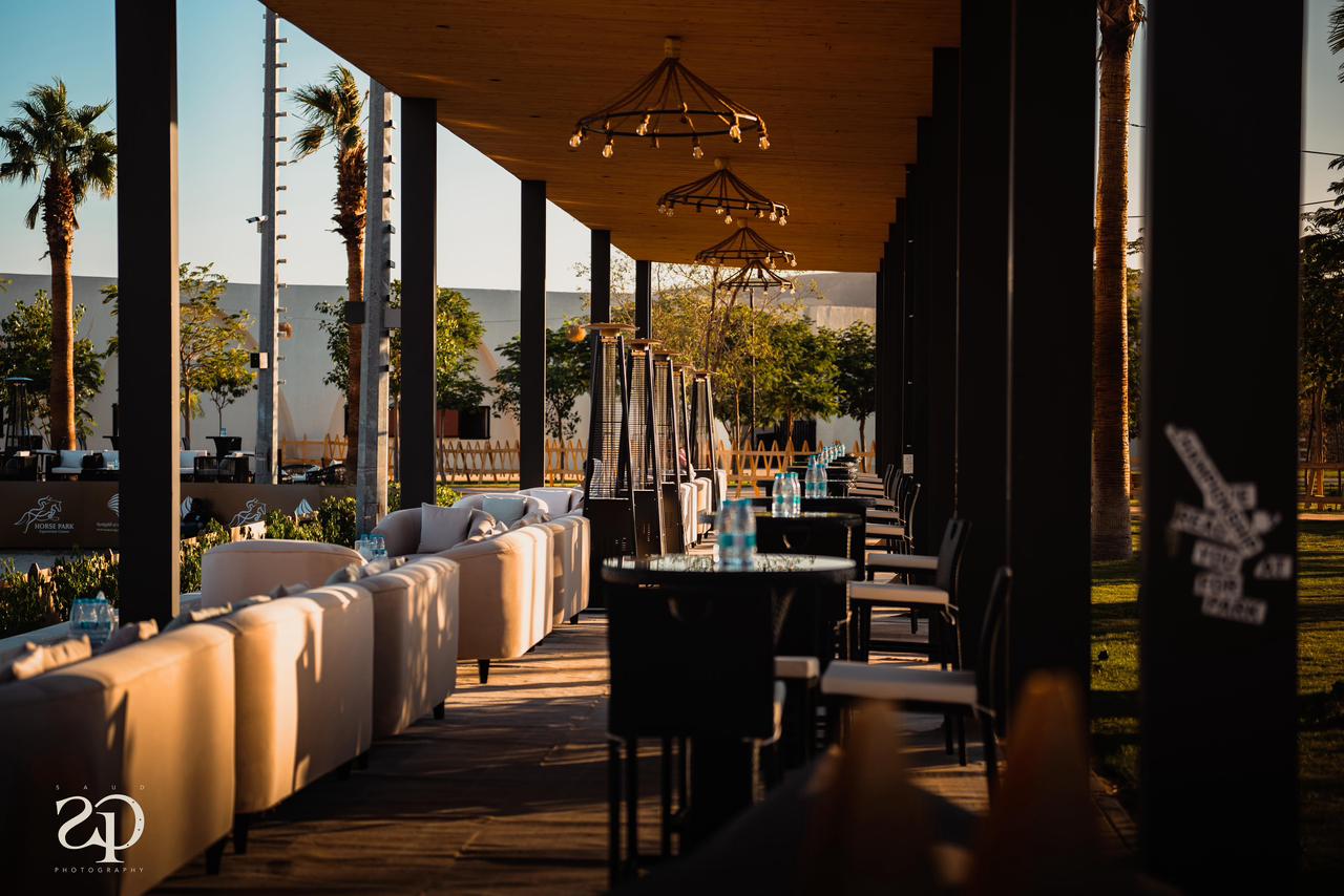 Photo from Horse Park Tour in Riyadh: Gallery Photo zv6r0q