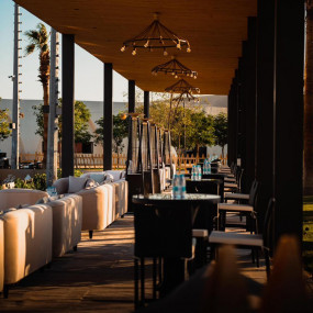 Horse Park Tour in Riyadh: Gallery Photo zv6r0q