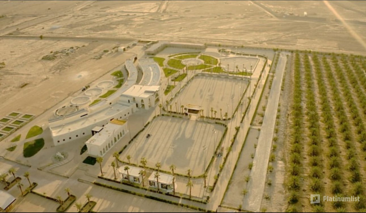 Horse Park Tour in Riyadh: Gallery Photo 38yo91