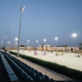 Horse Park Tour in Riyadh: Gallery Photo 3pj76e