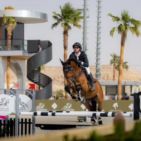 Horse Park Tour in Riyadh: Gallery Photo zg47p4