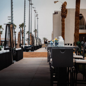 Photo from جولات هورس بارك في الرياض in الرياض: Gallery Photo 3xv2jm