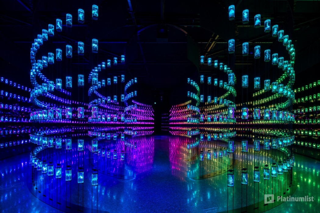 Museum of The Future – Pioneer Pass in Dubai : Galerie de photos 3rw4kg