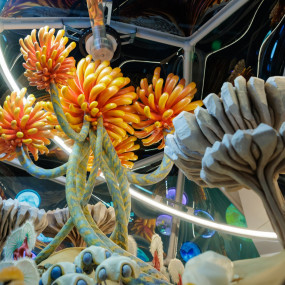 Photo de Museum of The Future – Pioneer Pass dans Dubai : Galerie Photo zw62d4