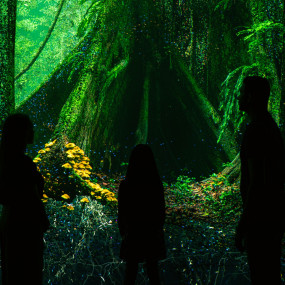 Photo de Museum of The Future – Pioneer Pass dans Dubai : Galerie Photo 38yod9