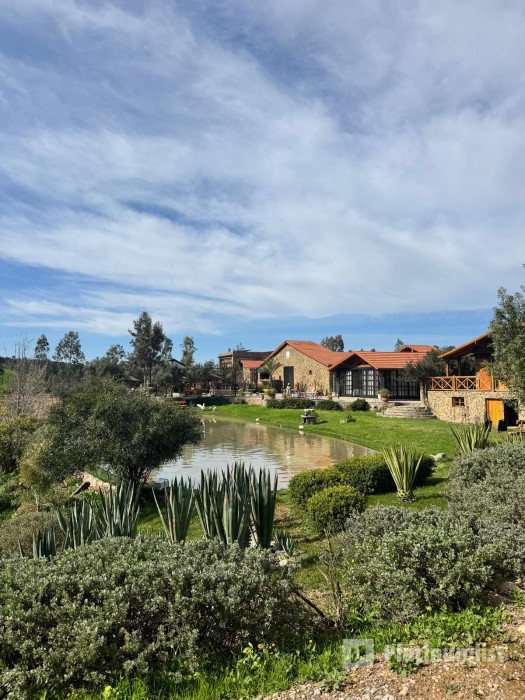 Wellness Retreat Benslimane in Casablanca: Gallery Photo zw62k4