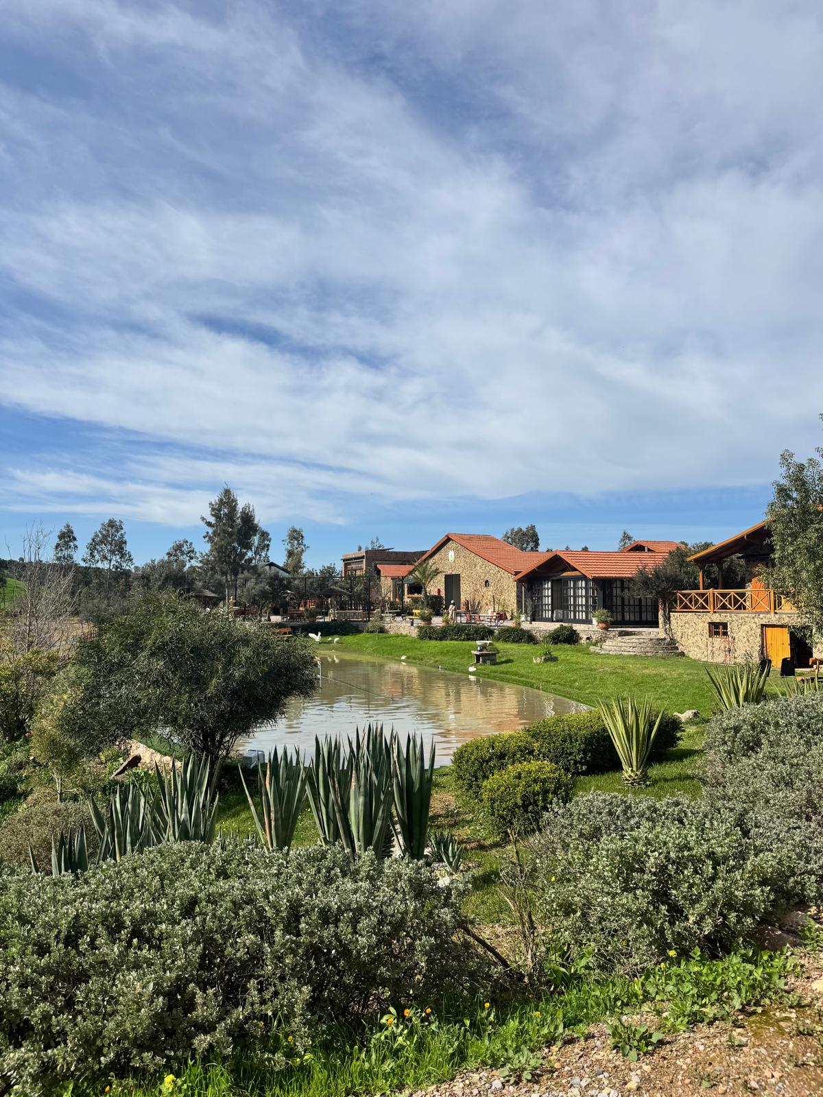 Photo from Wellness Retreat Benslimane in Casablanca: Gallery Photo zw62k4