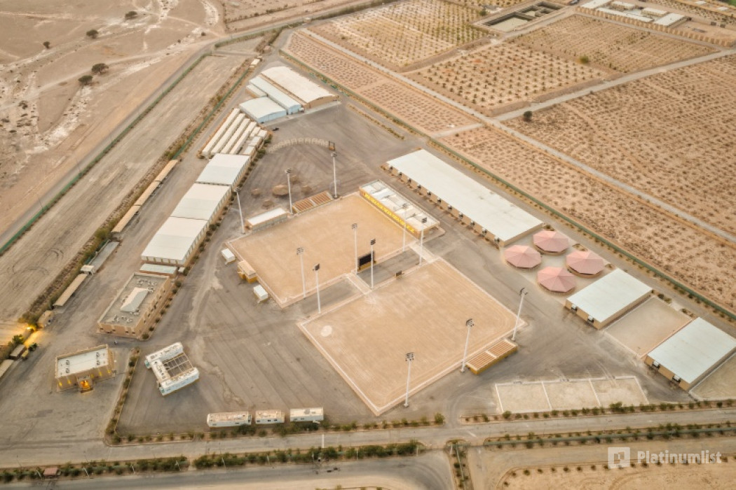 The Arabian Horse Show for Local Breeders in Riyadh в Эр-Рияд: Галерея фото zod7e0