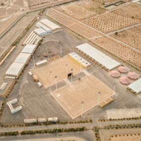 The Arabian Horse Show for Local Breeders in Riyadh в Эр-Рияд: Галерея фото zod7e0