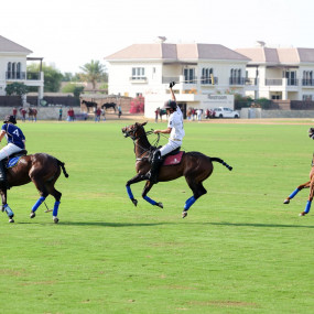 Фотография с Party at the Polo in Dubai в Дубай: Галерея фото 3qe0b8