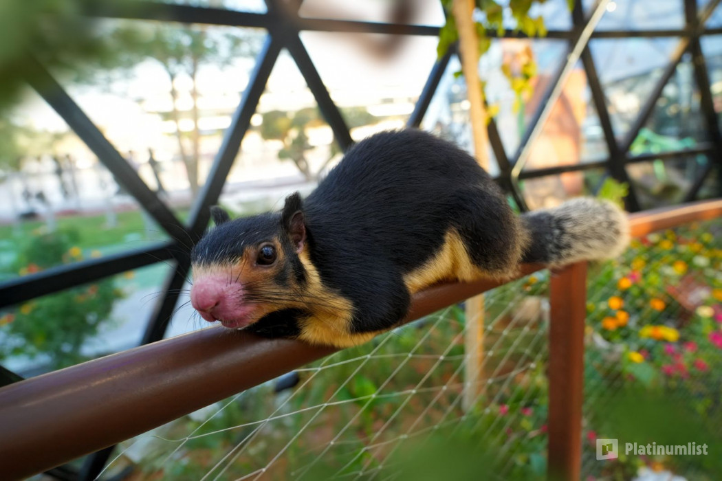 zodbre استديو الصور :أبوظبي في The Butterfly Garden