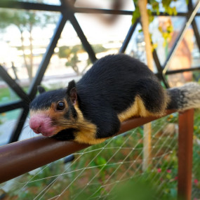 zodbre استديو الصور :أبوظبي في The Butterfly Garden