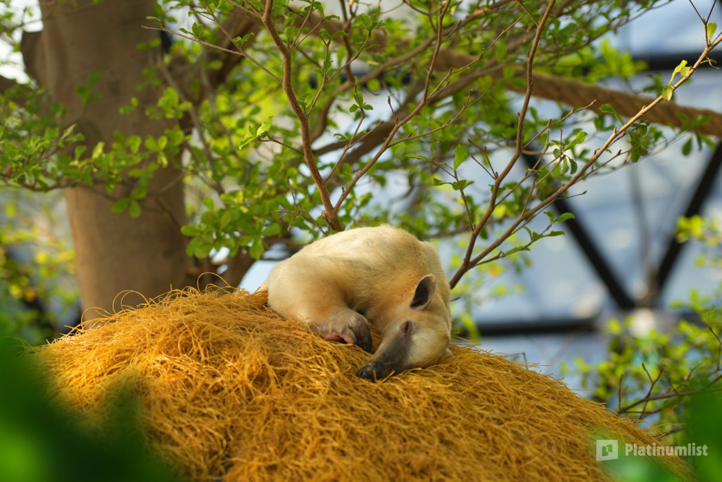 The Butterfly Garden in Abu Dhabi: Gallery Photo 3j51bw