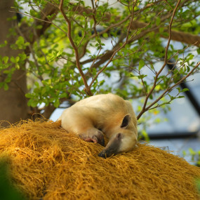 3j51bw استديو الصور :أبوظبي في The Butterfly Garden