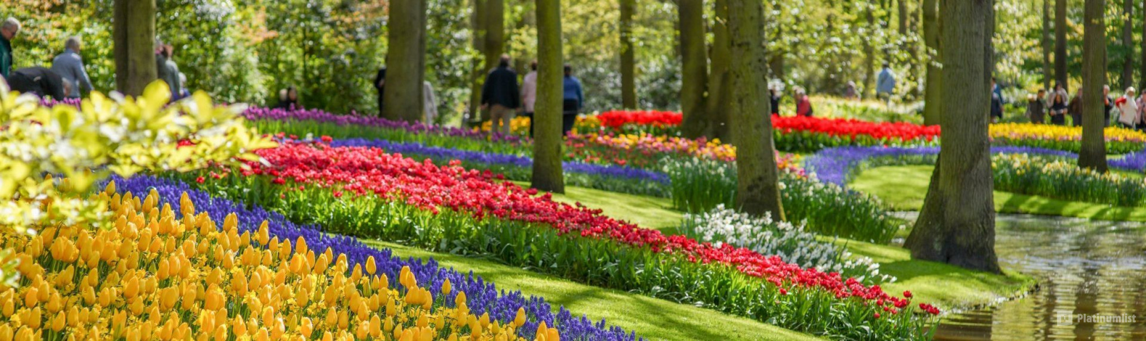 Keukenhof: Entry Ticket in Amsterdam: Gallery Photo n264jj