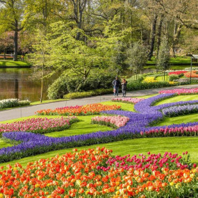 Photo from Keukenhof: Entry Ticket in Amsterdam: Gallery Photo 3d70xb