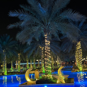 Photo de Village Bonita à Riyad dans Riyadh : Galerie Photo nke1q0