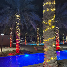 Photo de Village Bonita à Riyad dans Riyadh : Galerie Photo n264xj