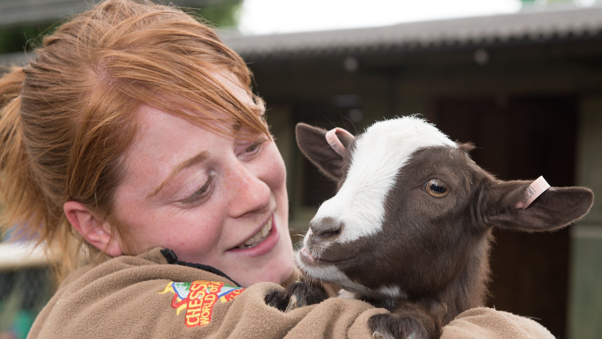 Photo de Chessington World of Adventures dans London : Galerie Photo zw60xp