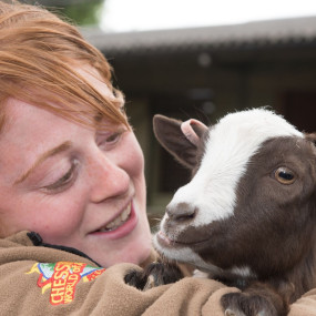 Chessington World of Adventures in London : Galerie de photos zw60xp