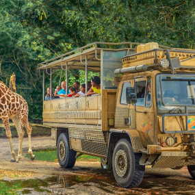 Photo de Chessington World of Adventures dans London : Galerie Photo nke12v