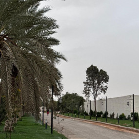 zodbxb استديو الصور :الرياض في بطولة الاتحاد السعودي للفروسية الدوري السعودي للمحترفين لقفز الحواجز في الرياض