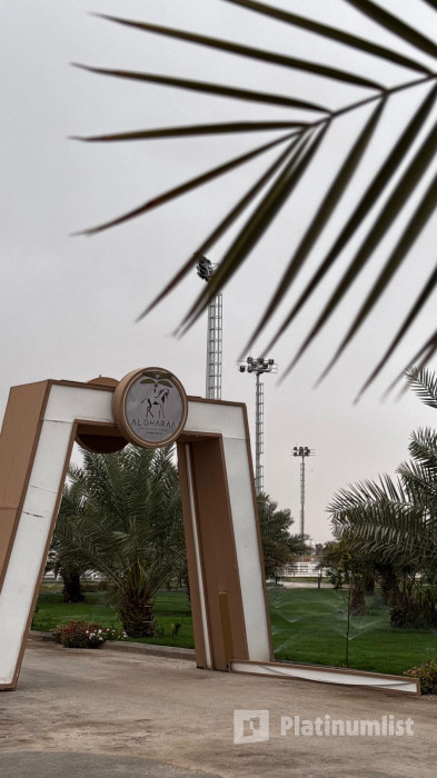 Saudi Equestrian Federation Championship Saudi Professional Show Jumping in Riyadh in Riyadh: Gallery Photo 38ybd9
