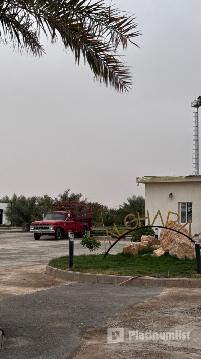 Saudi Equestrian Federation Championship Saudi Professional Show Jumping in Riyadh in Riyadh: Gallery Photo 3pjbq0