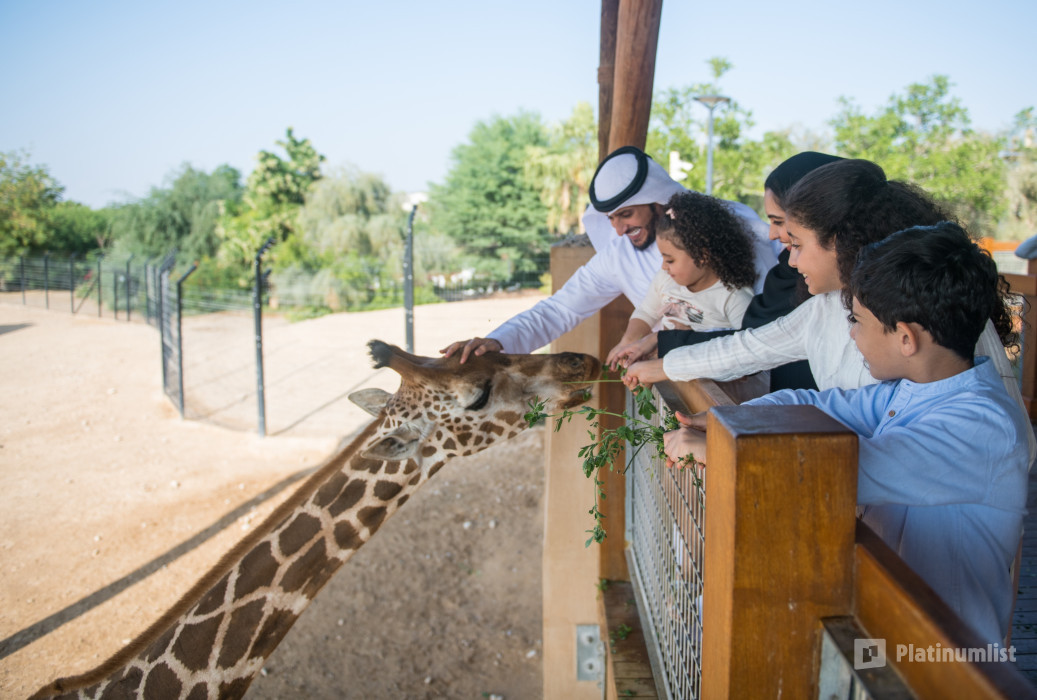 Al Ain Zoo Tickets in Al Ain: Gallery Photo 3d705k