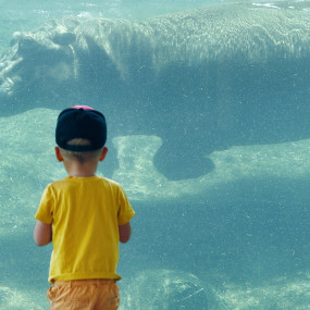 Al Ain Zoo Tickets in Al Ain: Gallery Photo 34j7xv