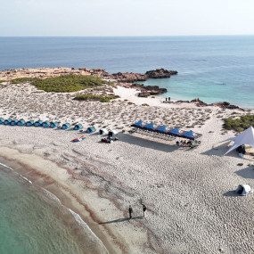 3yo01r استديو الصور :مسقط في رحلة مشتركة لمدة نصف يوم في جزيرة الديمانيات