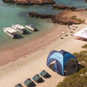 nke1yk استديو الصور :مسقط في رحلة مشتركة لمدة نصف يوم في جزيرة الديمانيات