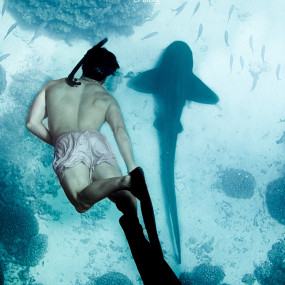 Photo from رحلة مشتركة لمدة نصف يوم في جزيرة الديمانيات in مسقط: Gallery Photo n264kk