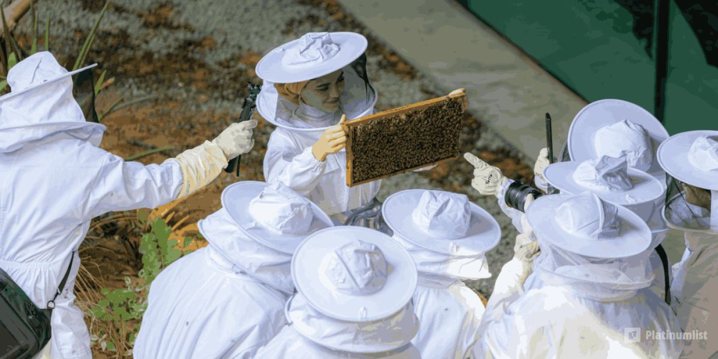 Inside the Hive Experience at Expo City Dubai in Dubai : Galerie de photos nkexew