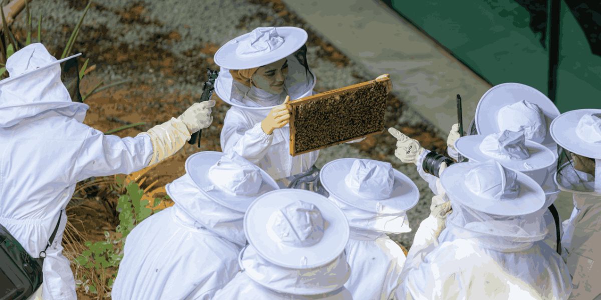 Photo de Inside the Hive Experience at Expo City Dubai dans Dubai : Galerie Photo nkexew