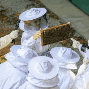 Inside the Hive Experience at Expo City Dubai in Dubai : Galerie de photos nkexew