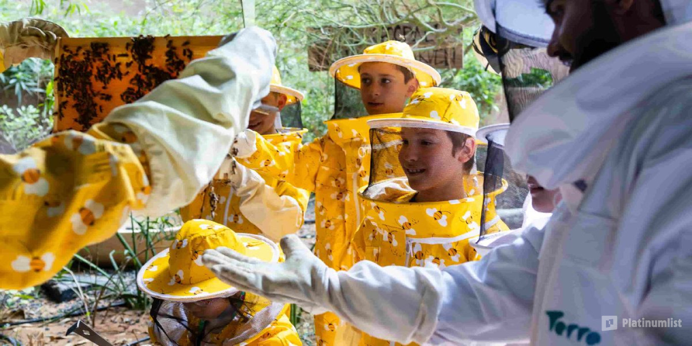 Inside the Hive Experience at Expo City Dubai in Dubai : Galerie de photos 35ybyd