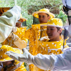 Inside the Hive Experience at Expo City Dubai in Dubai : Galerie de photos 35ybyd