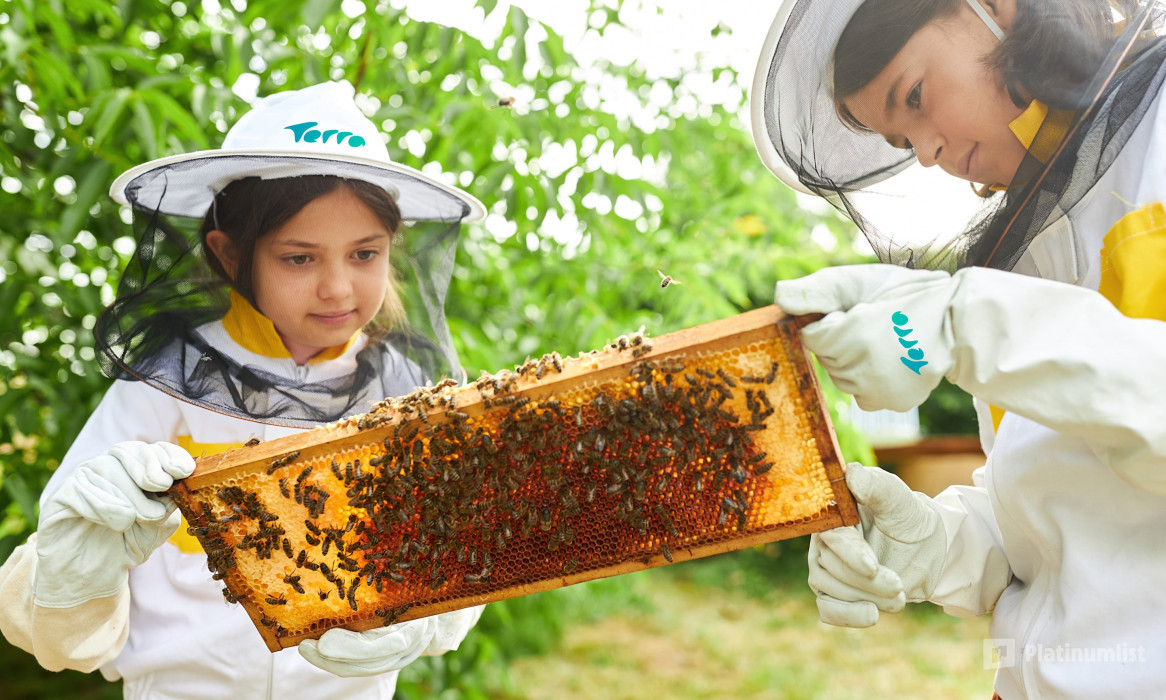 Inside the Hive Experience at Expo City Dubai in Dubai : Galerie de photos n69d99